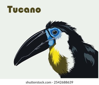 Colección única de pájaros coloridos, Ilustraciones vectoriales