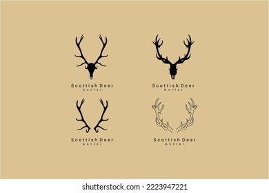 unique collection of deer antlers
