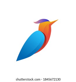 Unique, colorful , birds logo design template