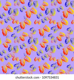 unique colorful butterfly animal pattern