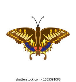 unique colorful butterfly on a white background, vector illustration