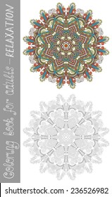 unique coloring book page for adults - flower paisley design, joy to older children and adult colorists, who like line art and creation, vector illustration