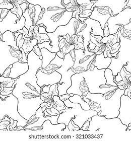 unique coloring book square page for adults - floral authentic carpet design, joy to older children and adult colorists, who like line art and creation, vector illustration