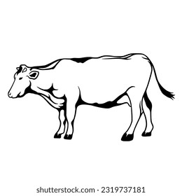 unique cow animal vector suitable for Eid al-Adha design material