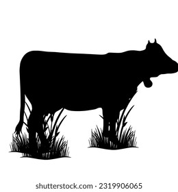 unique cow animal vector suitable for Eid al-Adha design material
