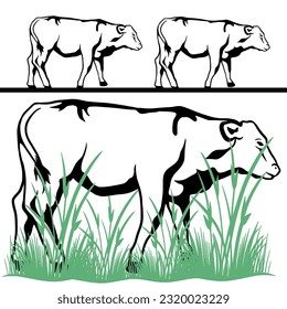 unique cow animal vector suitable for Eid al-Adha design material