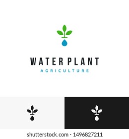 Unique and creative combination between water droplet and sprout of plant logo design inspiration