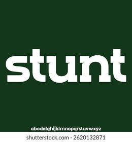 Unique and cute slab display font vector