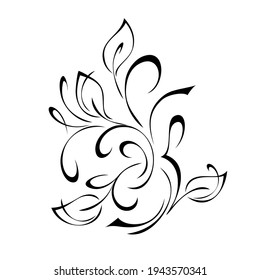 unique decorative element with curls and leaves in black lines on white background