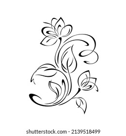 unique decorative element with stylized flowers, leaves and swirls in black lines on a white background