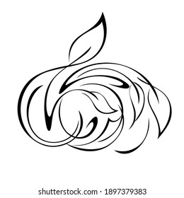 unique decorative element with stylized leaves and curls in black lines on a white background