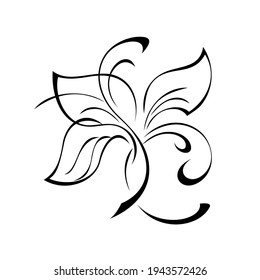 einzigartiges dekoratives Element mit stilisierten Blättern und Curlen in schwarzen Linien auf weißem Hintergrund