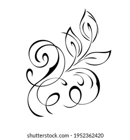 unique decorative element with stylized leaves and curls in black lines on a white background