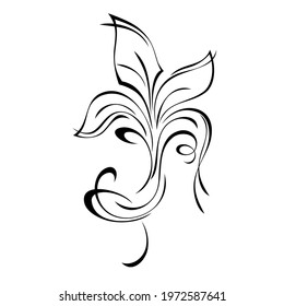 unique decorative element with stylized leaves and curls black lines on a white background