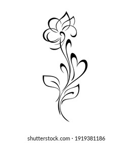 unique decorative flower with large petals on a stalk with leaves and curls in black lines on a white background