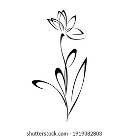 unique decorative flower on a stalk with leaves and curls in black lines on a white background