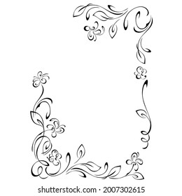 unique decorative frame with stylized flowers on stems with leaflets and curls in black lines on a white background