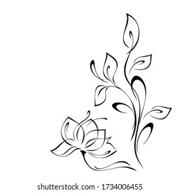 unique decorative twig with one stylized flower, leaves and curls in black lines on a white background