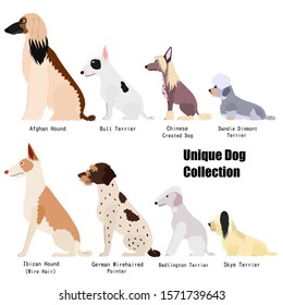 Unique dog breed side view set