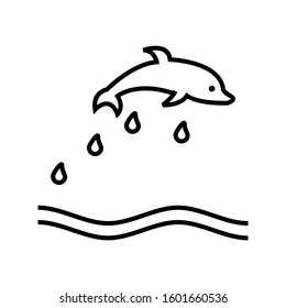 Unique Dolphin Vector Line Icon