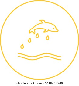 Unique Dolphin Vector Line Icon