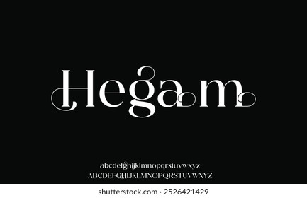 Unique and elegant alphabets display font vector