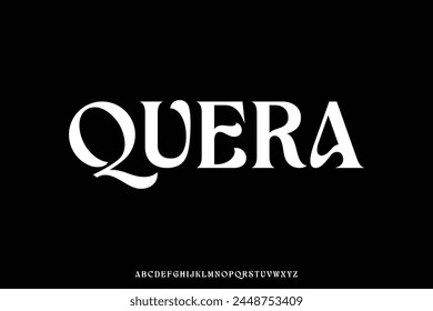 Unique elegant decorative alphabet display font vector