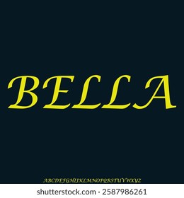 Unique elegant decorative serif alphabet display font vector illustration
