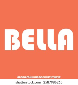 Unique elegant decorative serif alphabet display font vector illustration