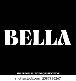 Unique elegant decorative serif alphabet display font vector illustration
