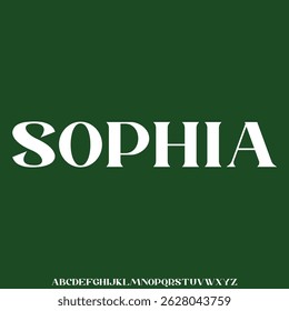 Unique and elegant serif display font vector