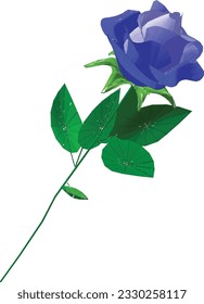 A Unique Expression of Love: Delight in a Blue Rose Bouquet.