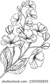 Unique flower coloring pages, Hand-drawn vector illustration of a garden variety of Violate tricolor and outline illustration, oenothera rosea Flowers Wall Decor, primrose flower art print