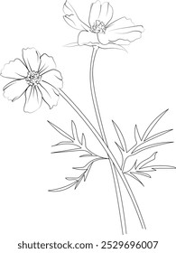 Páginas para colorear de flores únicas, Ilustración vectorial dibujada a mano de una variedad de jardín de flores de cosmos e ilustración de contorno, decoración de pared de flores de cosmos, páginas para colorear imprimibles de arte de flores de cosmos