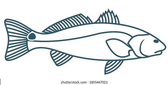 6,593 Redfish Images, Stock Photos & Vectors 