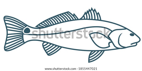 Unique Fresh Redfish Logo Template Great Stock Vector (Royalty Free ...