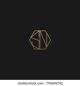 Unique Geometric Polygon Shape golden and black color initial based SN LOGO