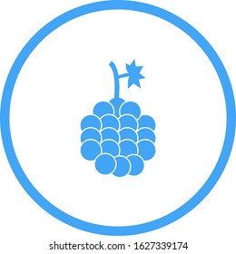 Unique Grapes Vector Glyph Icon