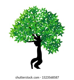 unique green leaf tree, mangrove tree with white background. vector