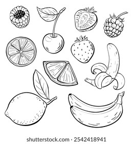 Ilustrações únicas desenhadas à mão de vários frutos. bananas, limões, morangos, framboesas, amoras. Ilustração de esboço vetorial. 