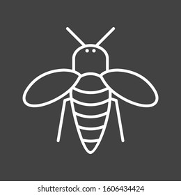 Unique Honey Bee Vector Line Icon