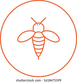Unique Honey Bee Vector Line Icon