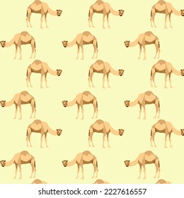 Unique and interesting camel patterns you can use according to your needs, available in various styles and attractive colors.