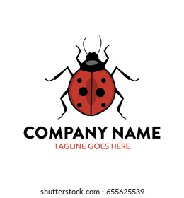 Unique Ladybug Logo Template
