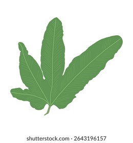 Unique leaf design inspired by tropical plants.
