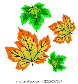 unique leaf vector design with bright color combination