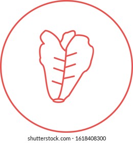 Unique Lettuce Vector Line Icon
