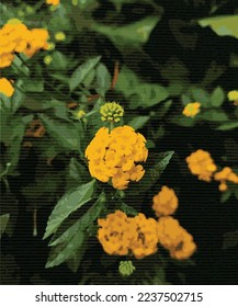 plantilla de acuarela de la ilustración del vector de flor amarillo único