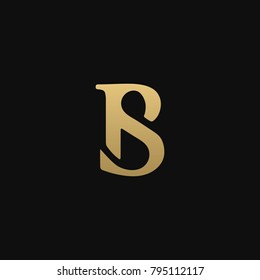 Unique Luxurious Minimal Style Initial Based BS Logo 