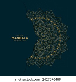 unique luxury mandala vector design